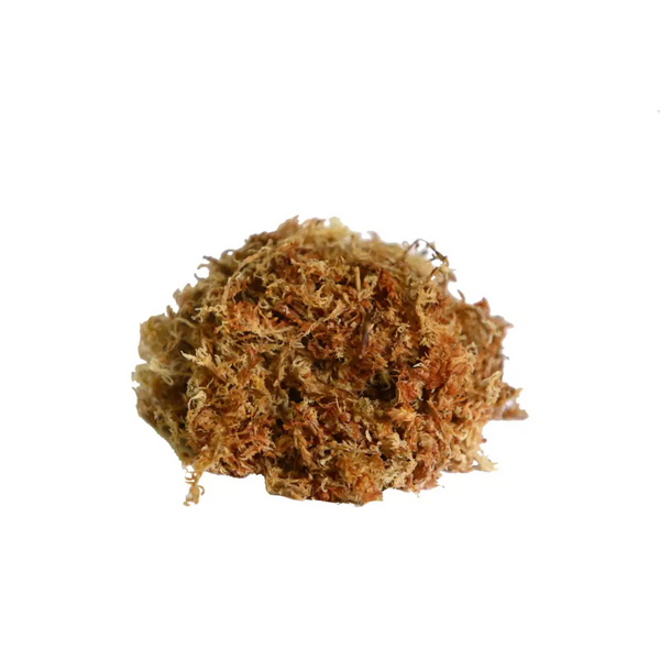 Orchid Nerd ™Compressed Sphagnum Moss 500 Grams - Waldor Orchids