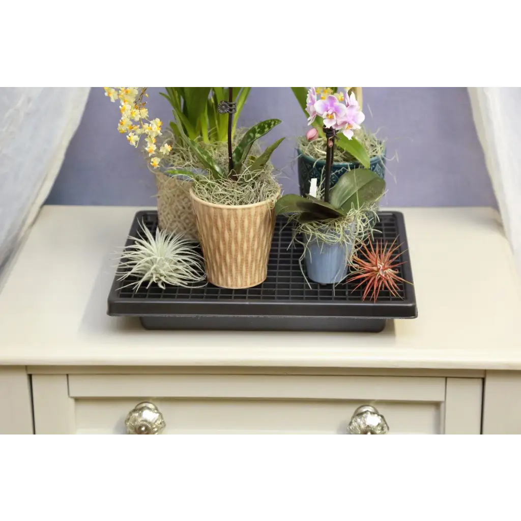  Humidity Tray Indoor Plant Stand Growing Tray for