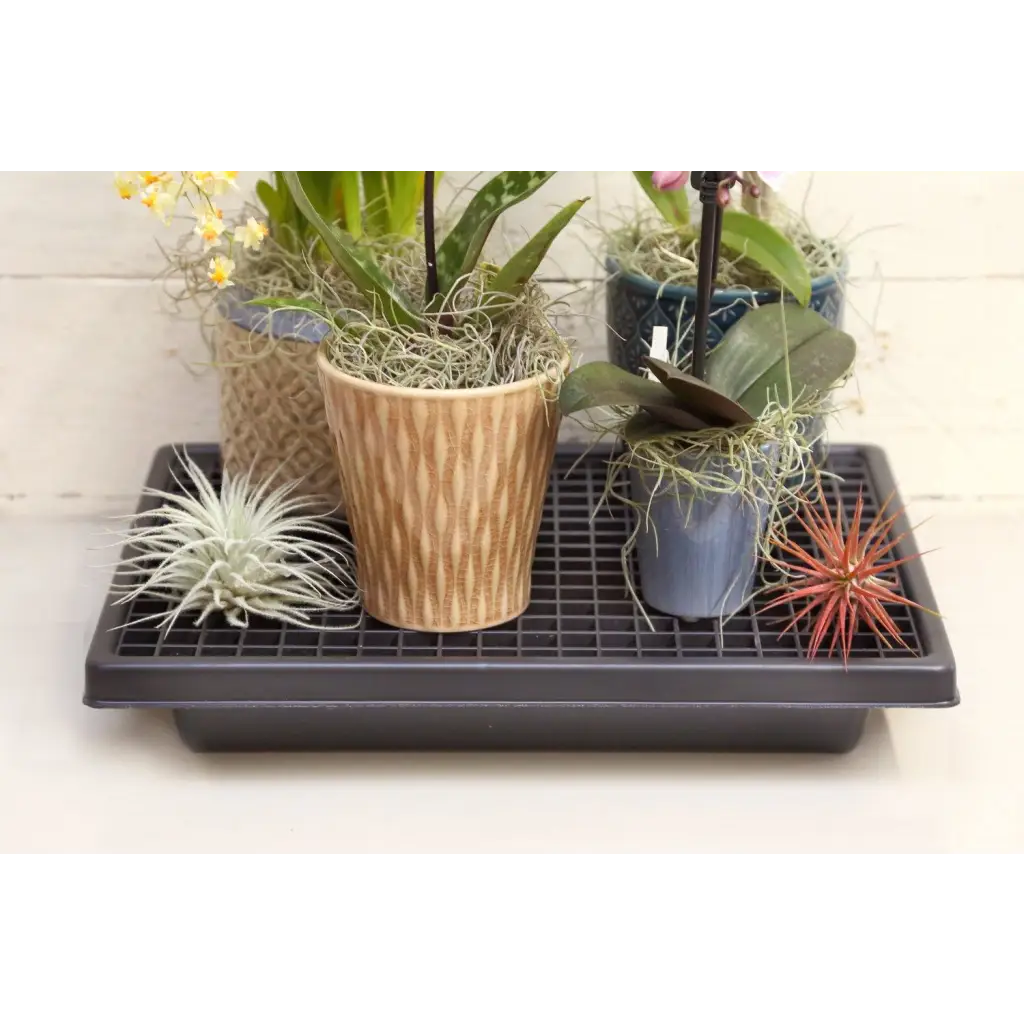 Humidity Tray DIY - Humidity tray for indoor plants 